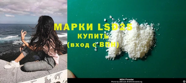 PSILOCYBIN Алзамай