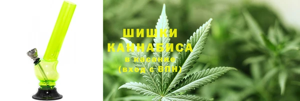 PSILOCYBIN Алзамай