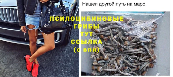 PSILOCYBIN Алзамай