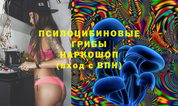 PSILOCYBIN Алзамай