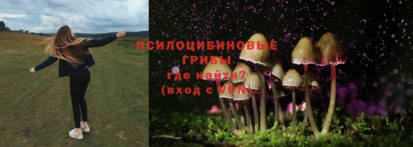 mix Алексин